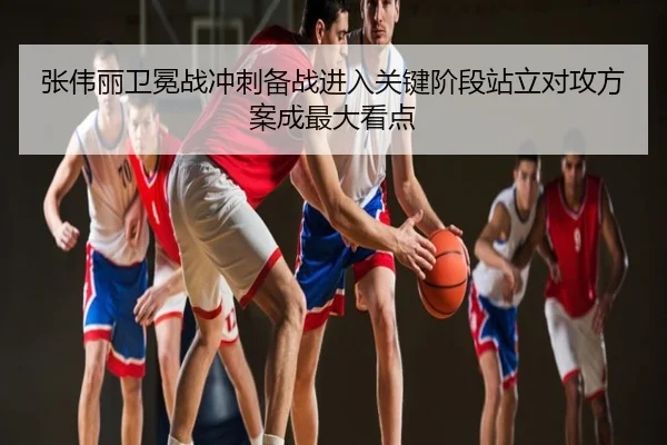 张伟丽卫冕战冲刺备战进入关键阶段站立对攻方案成最大看点