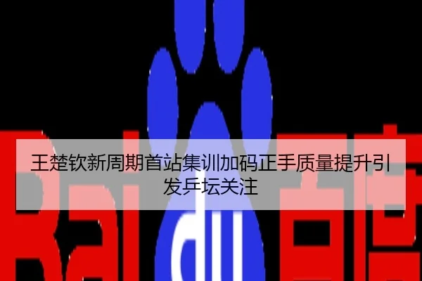 王楚钦新周期首站集训加码正手质量提升引发乒坛关注