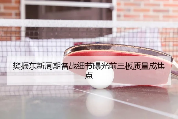 樊振东新周期备战细节曝光前三板质量成焦点